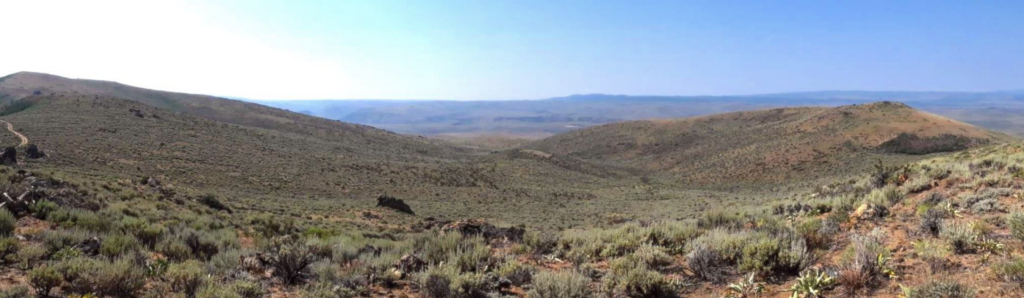 Sagebrush as far as the eye can see